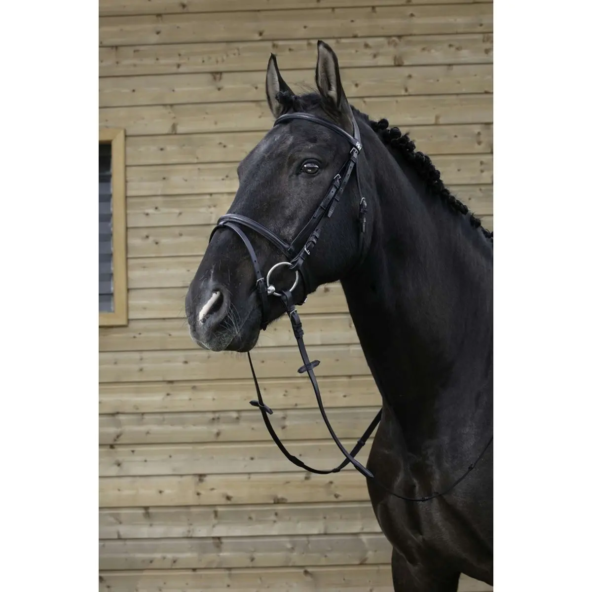 Riding World Hoofdstel Met Gecombineerde Neusriem Zwart 1