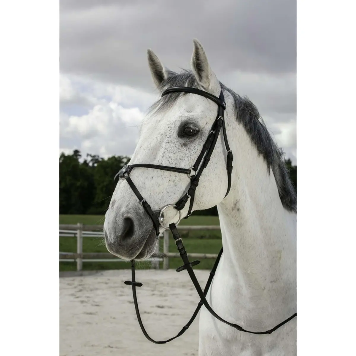 Riding World Hoofdstel Met Mexicaanse Neusriem Zwart 1