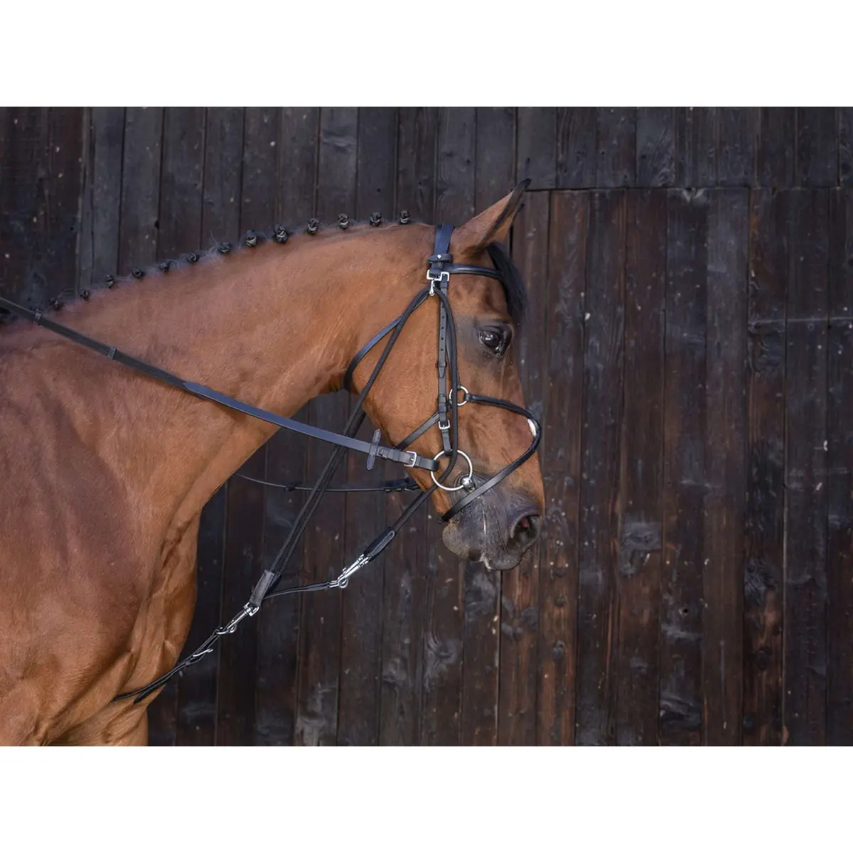 Riding World Gogue Met Katrollen Havanna 1