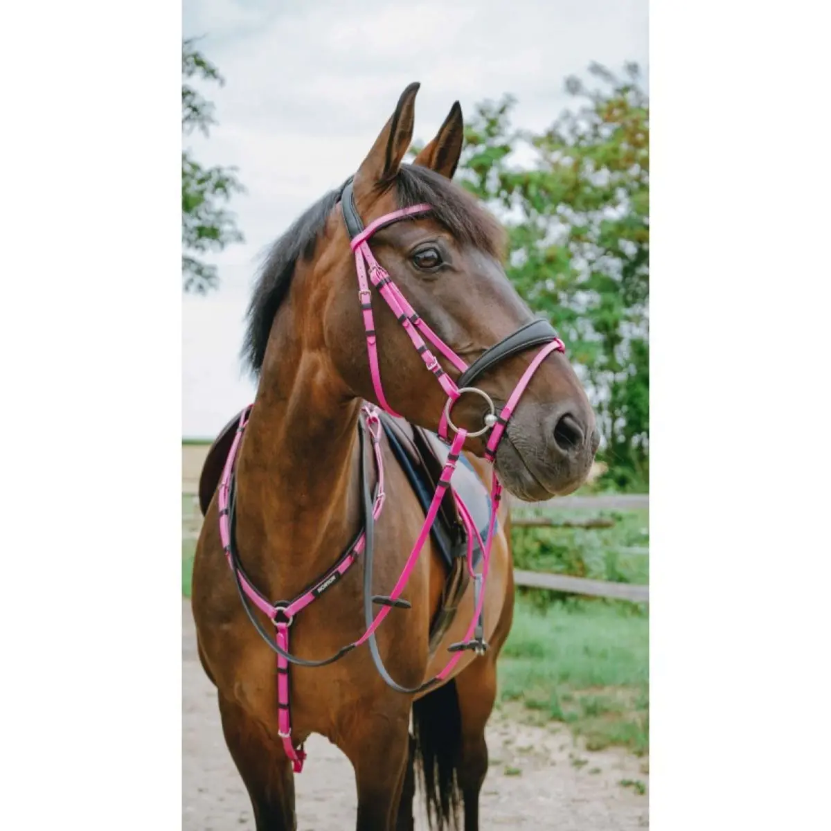 Norton Hoofdstel Endurance Roze 1