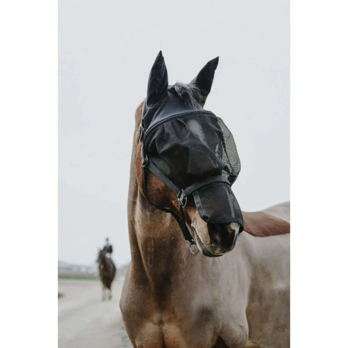 Equithème Halster Met Masker Mesh Zwart 1