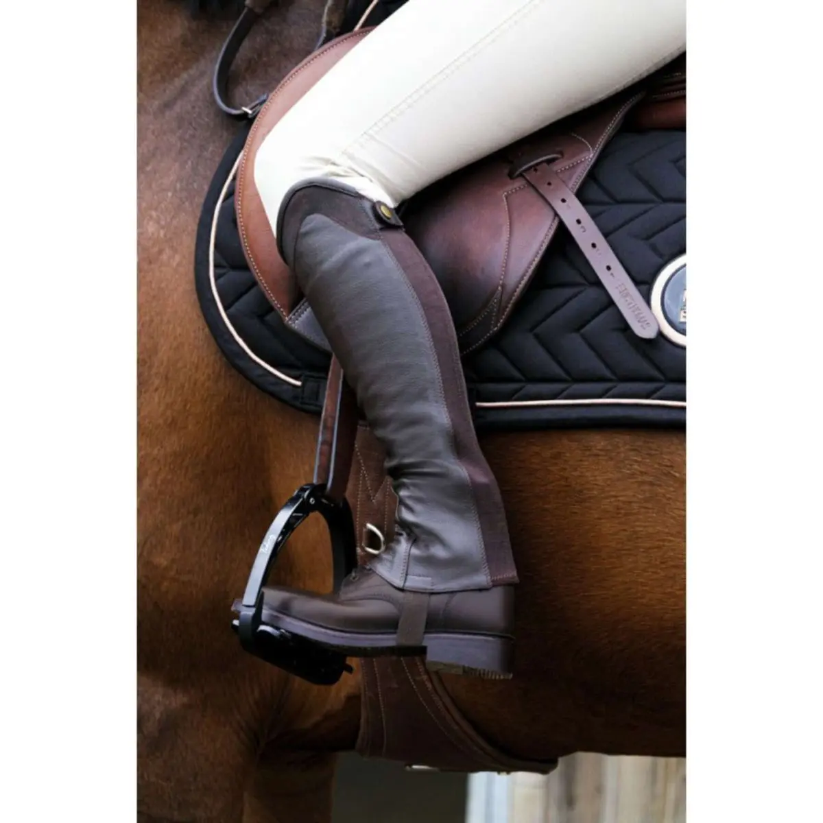Equithème Chaps Sparkly Bruin 1