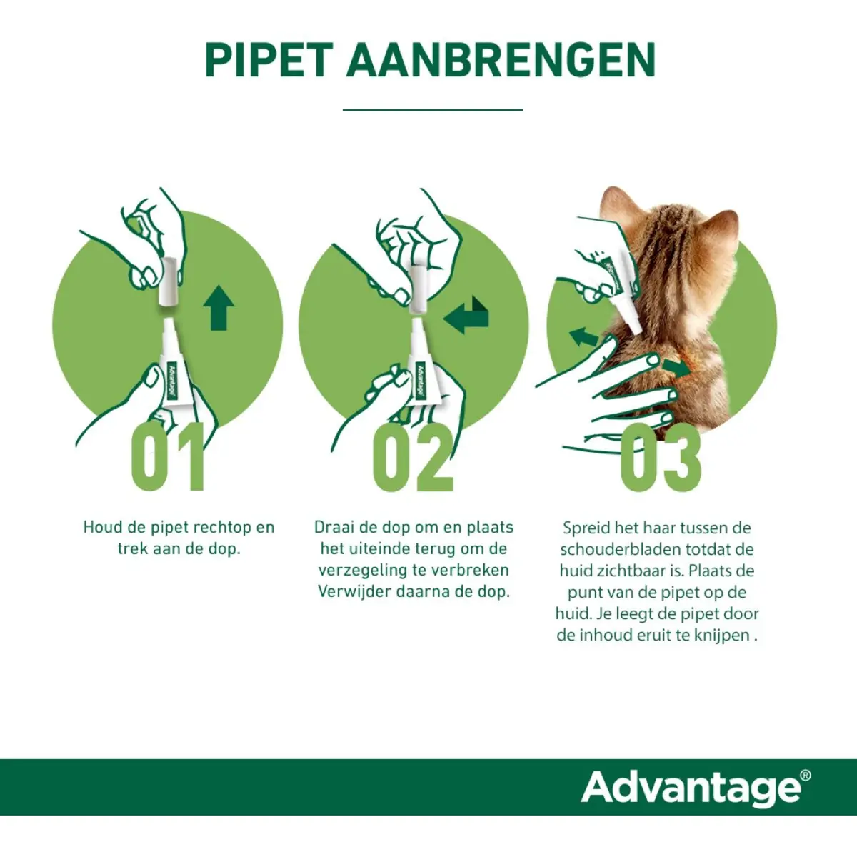 Advantage 80 Spot-On Kat 4-8Kg 2