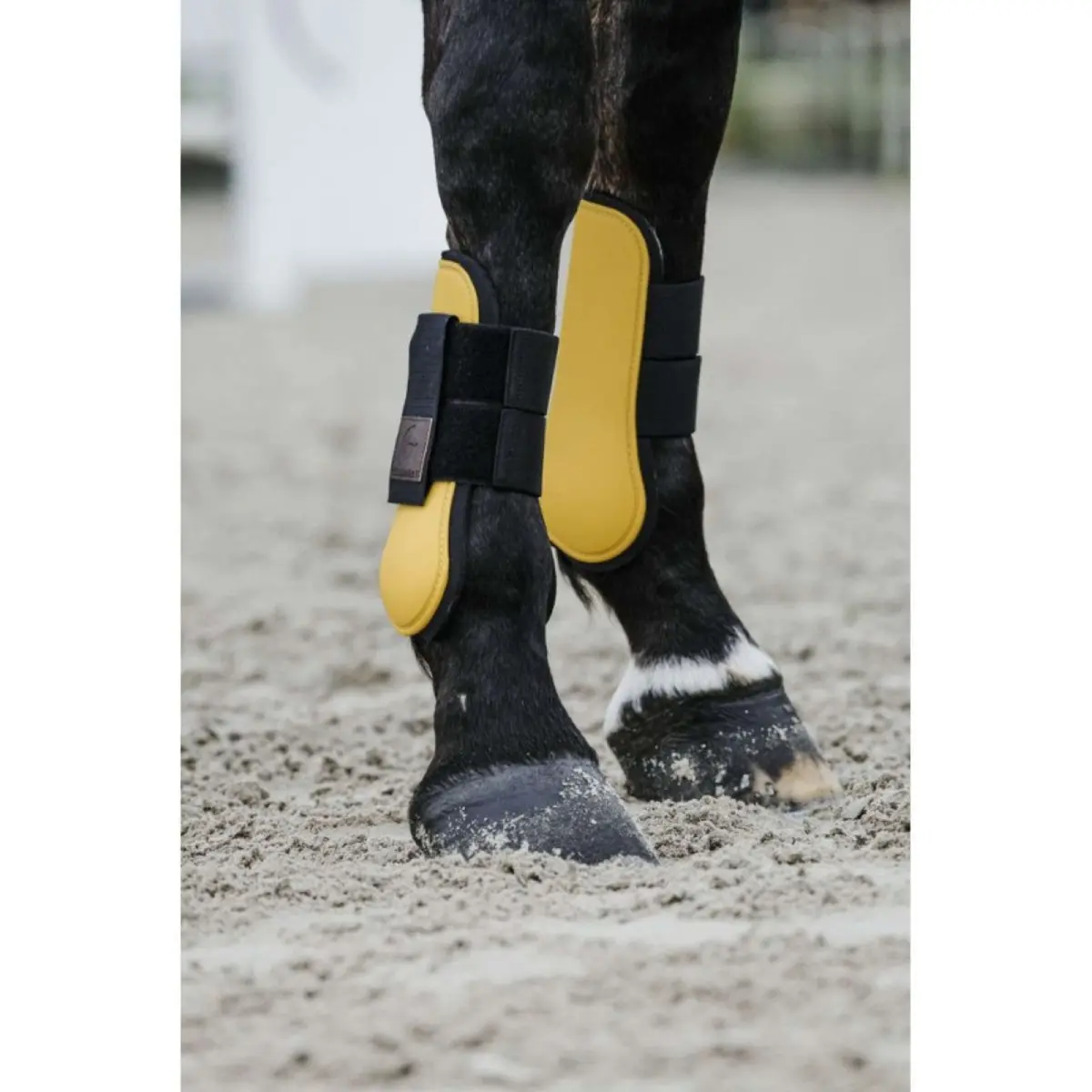 Equithème Peesbeschermers Goud 2