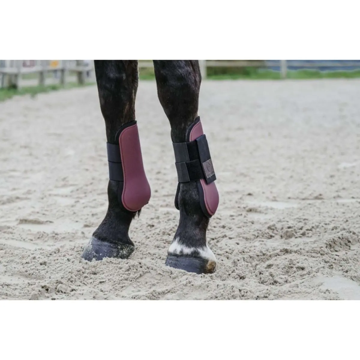 Equithème Peesbeschermers Burgundy 2