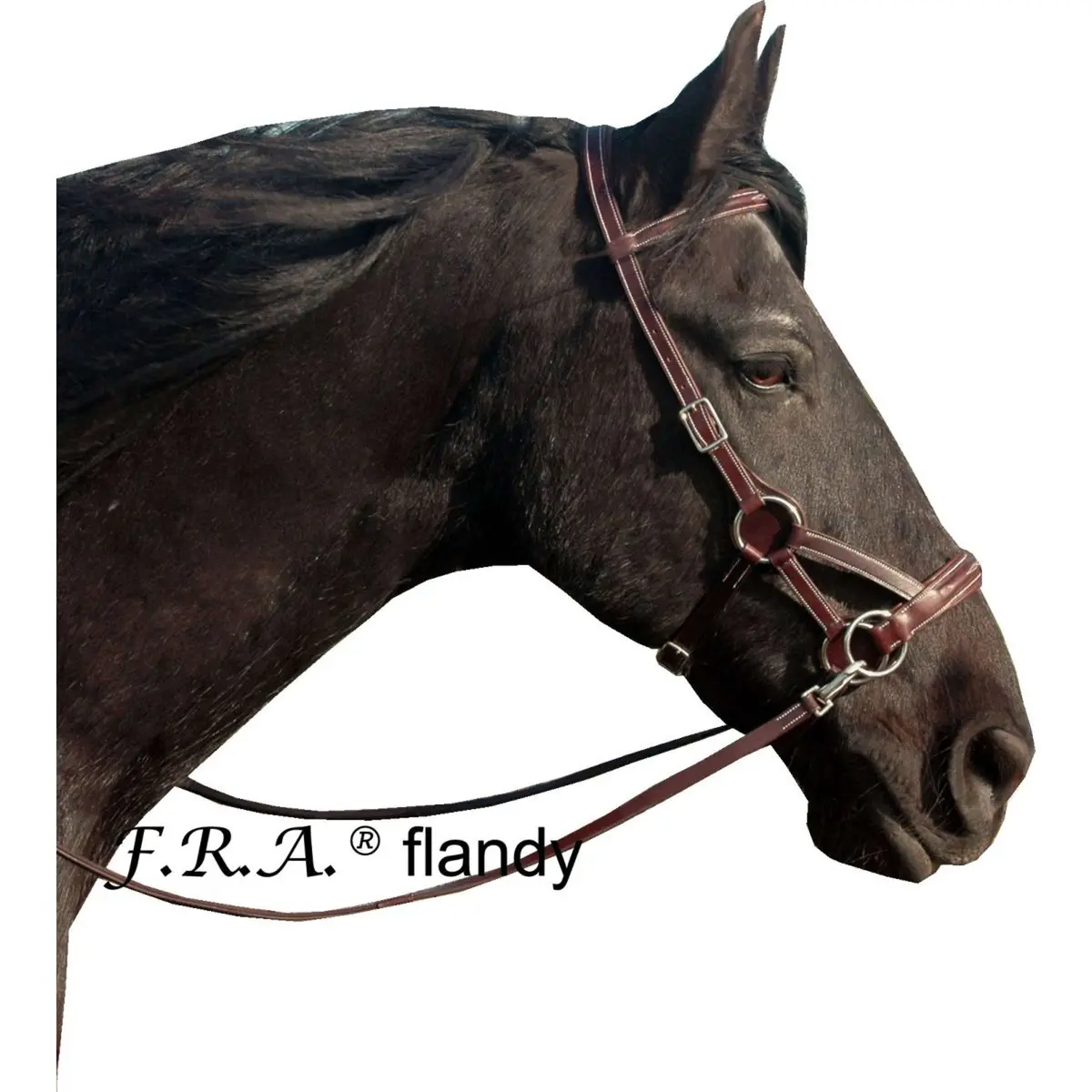 F.R.A. Bitloos Hoofdstel Flandy Side Pull Rubbergrip Lederen Teugel Bruin 1