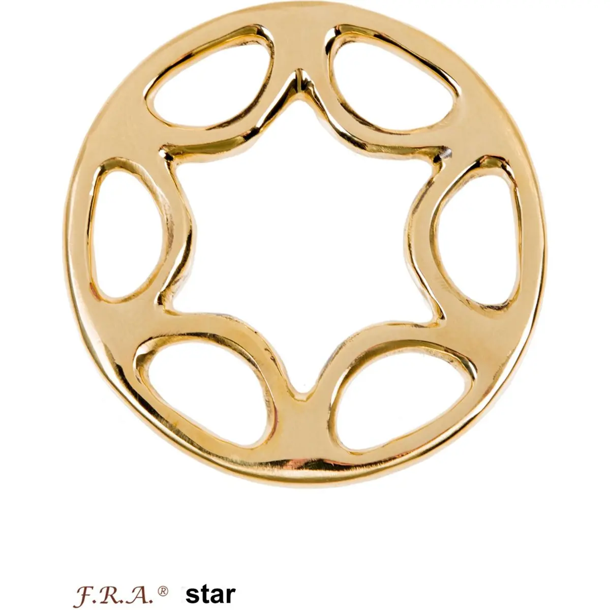 F.R.A. Hackamore Scharen Star Set Brass 1