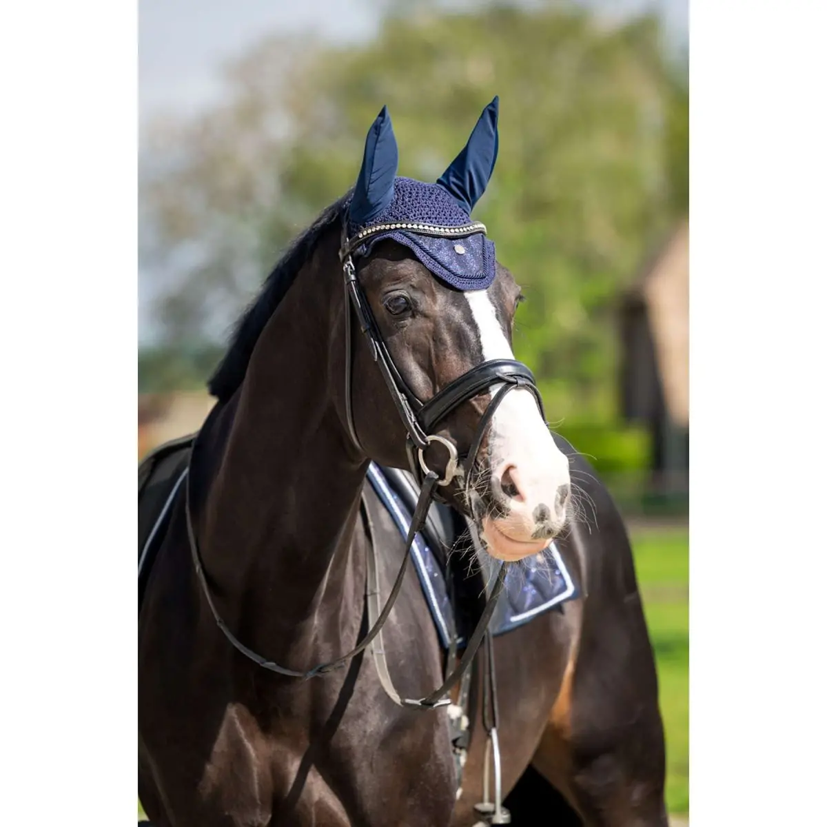 Hb Oornetje Showtime Glitter Navy 1