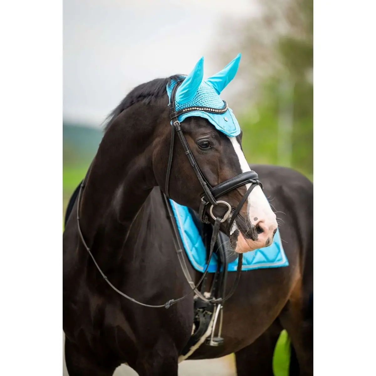 Hb Oornetje Showtime Glitter Turquoise 1