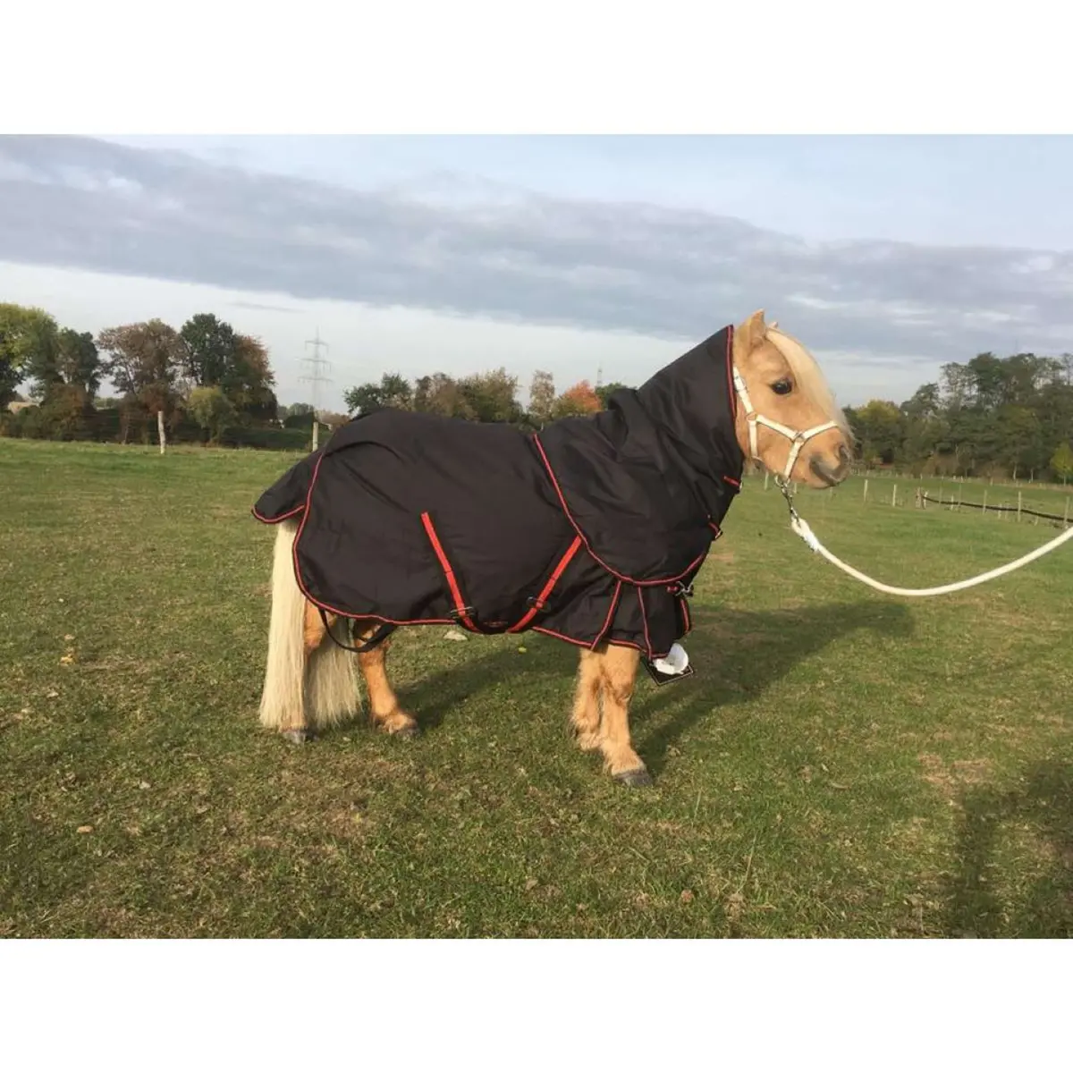 Hb Harry & Hector Outdoordeken 300G Zwart/Rood 1