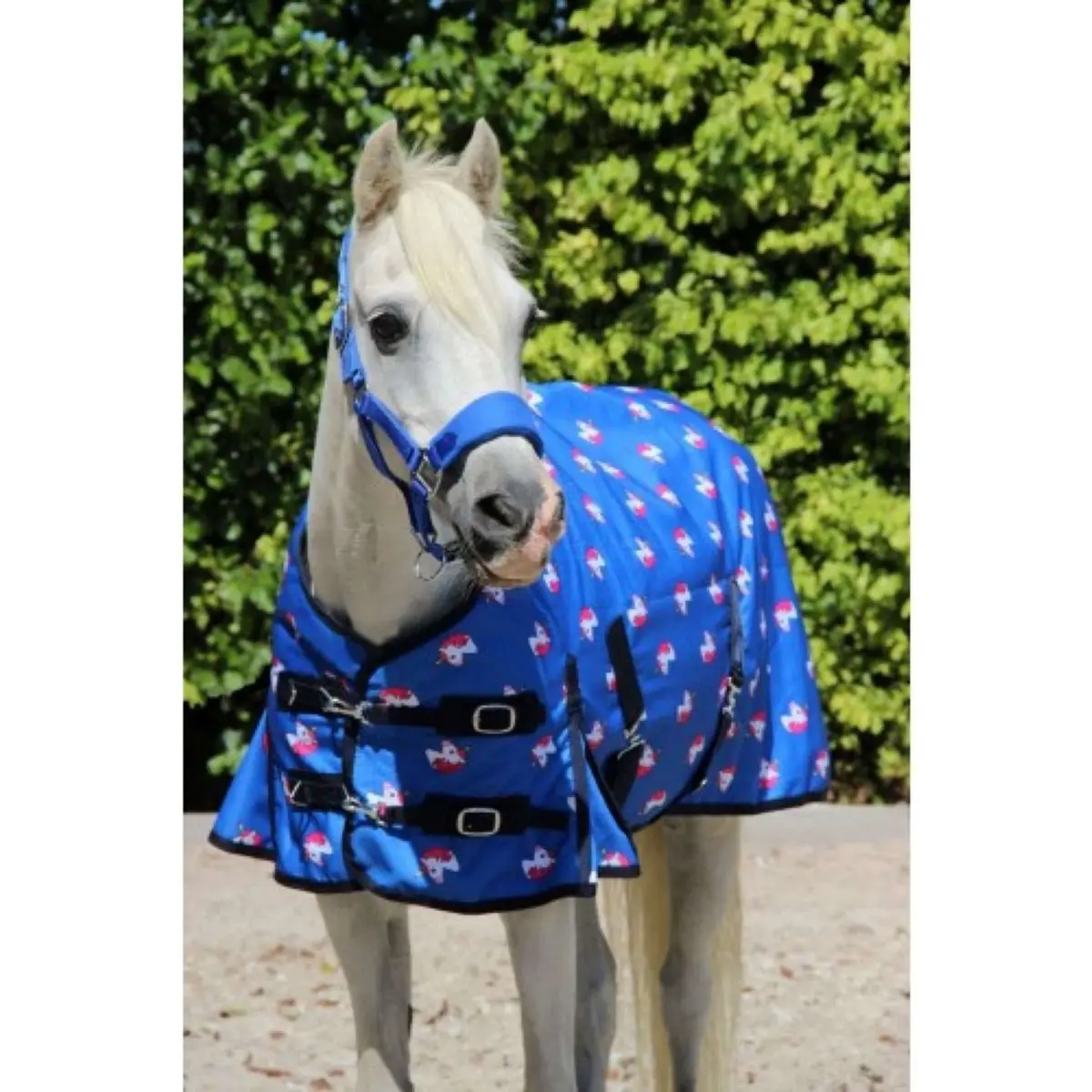Hb Harry & Hector Outdoordeken Unicorn 200G Royal Blue 1