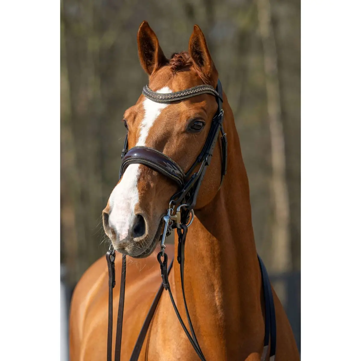 Hb Hoofdstel Showtime One In A Million Brown/Golden Glitter 1