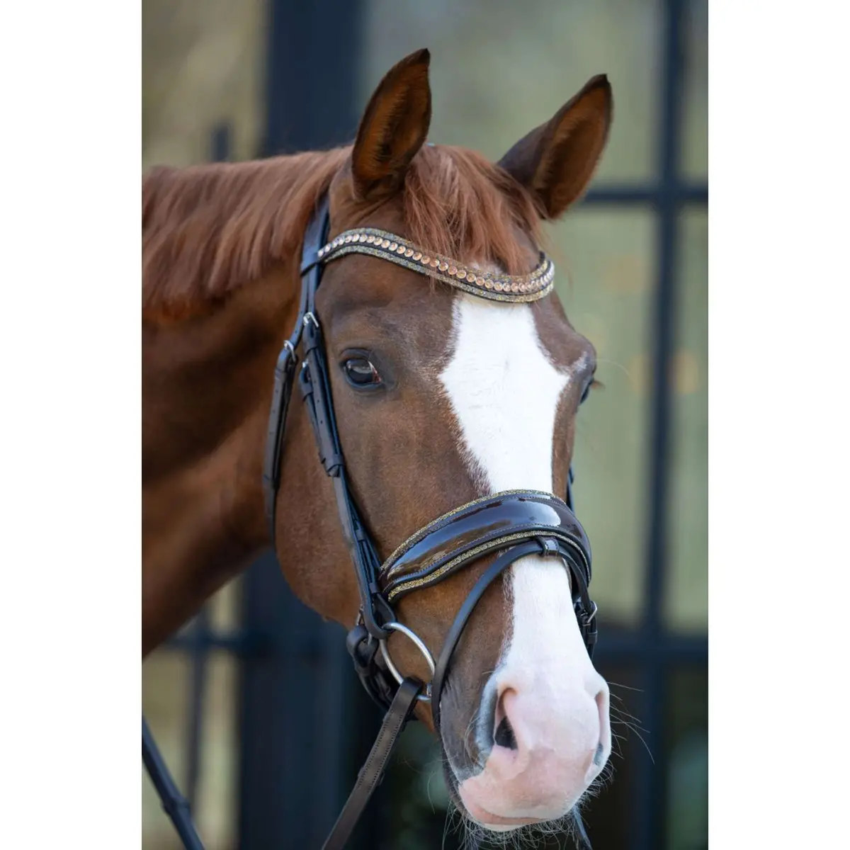 Hb Hoofdstel Showtime It Is So Special Brown/Golden Glitter 1
