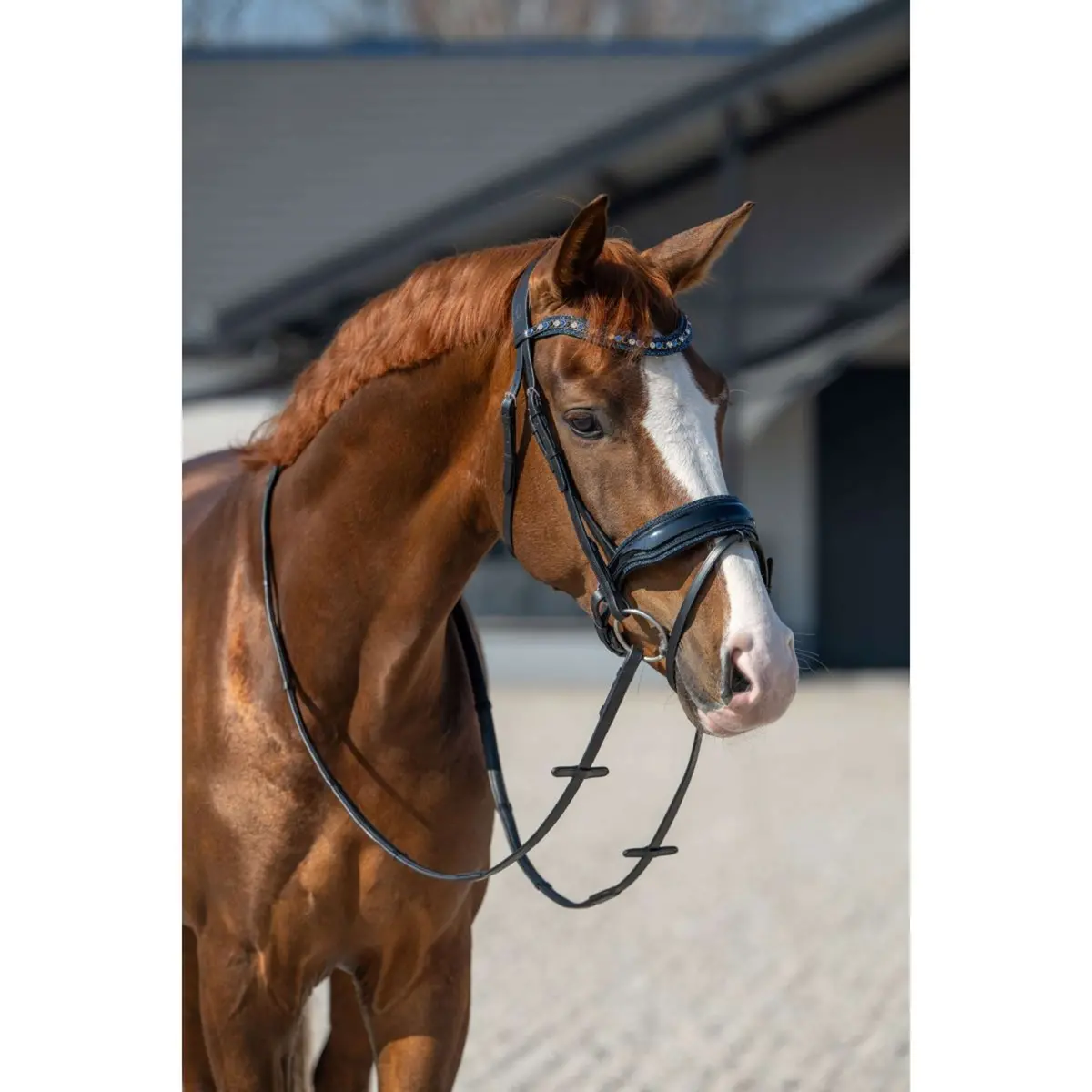 Hb Hoofdstel Showtime It Is So Special Zwart/Navy Glitter 1