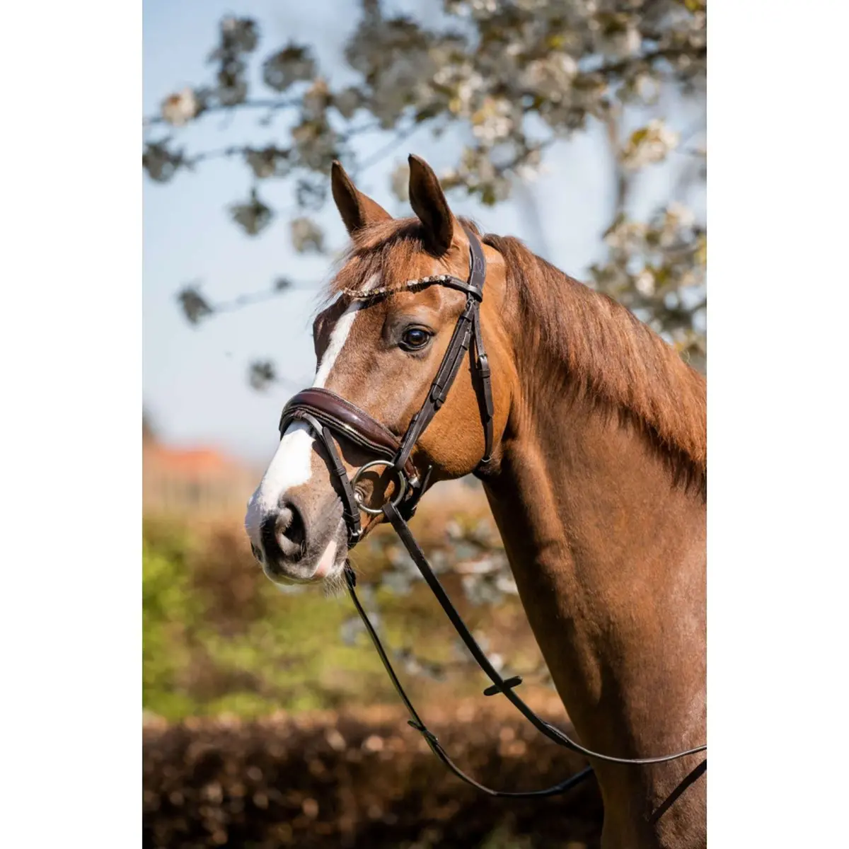 Hb Hoofdstel Juwel Glitter Bruin/Goud 1