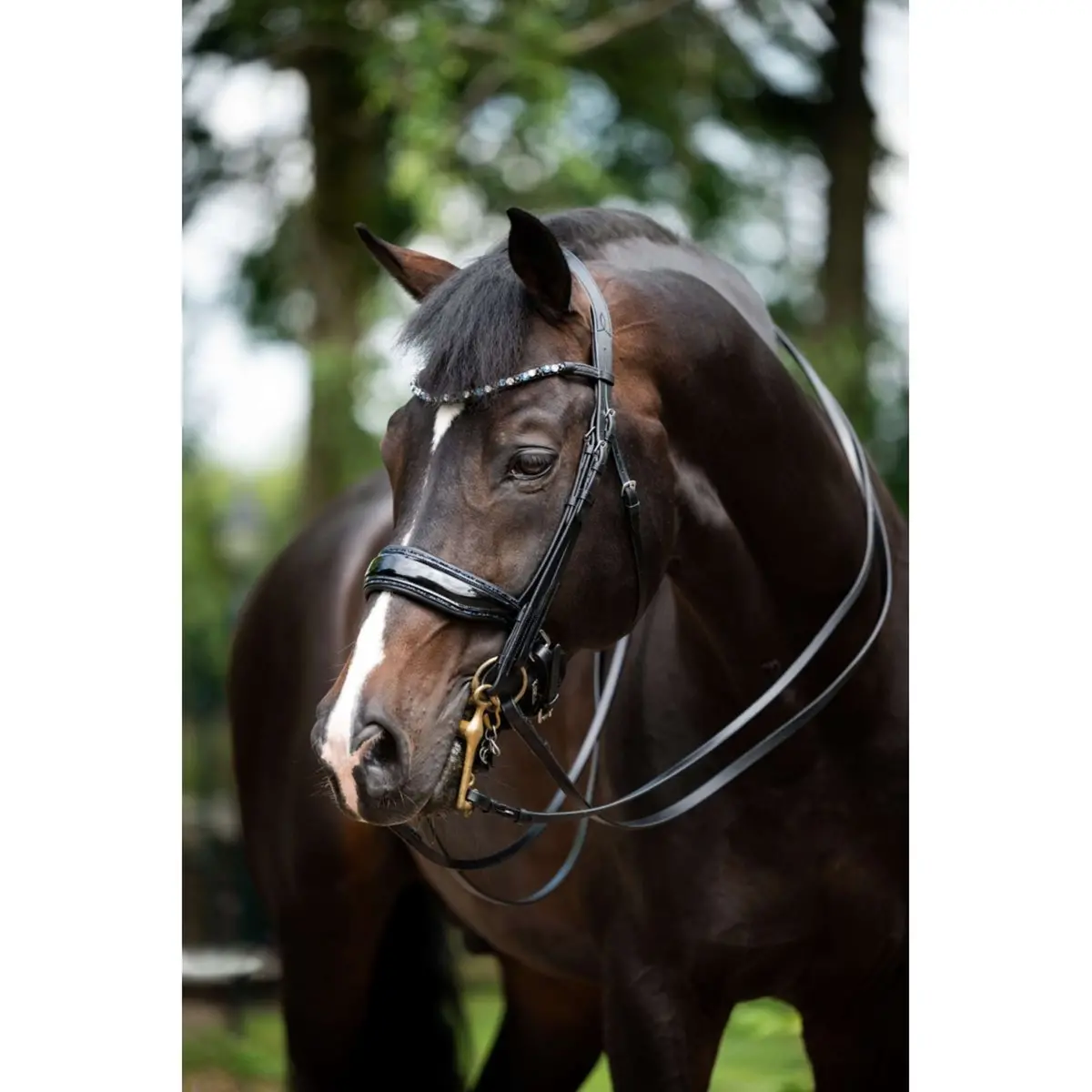 Hb Stang En Trenshoofdstel Special For You Zwart/Navy 1