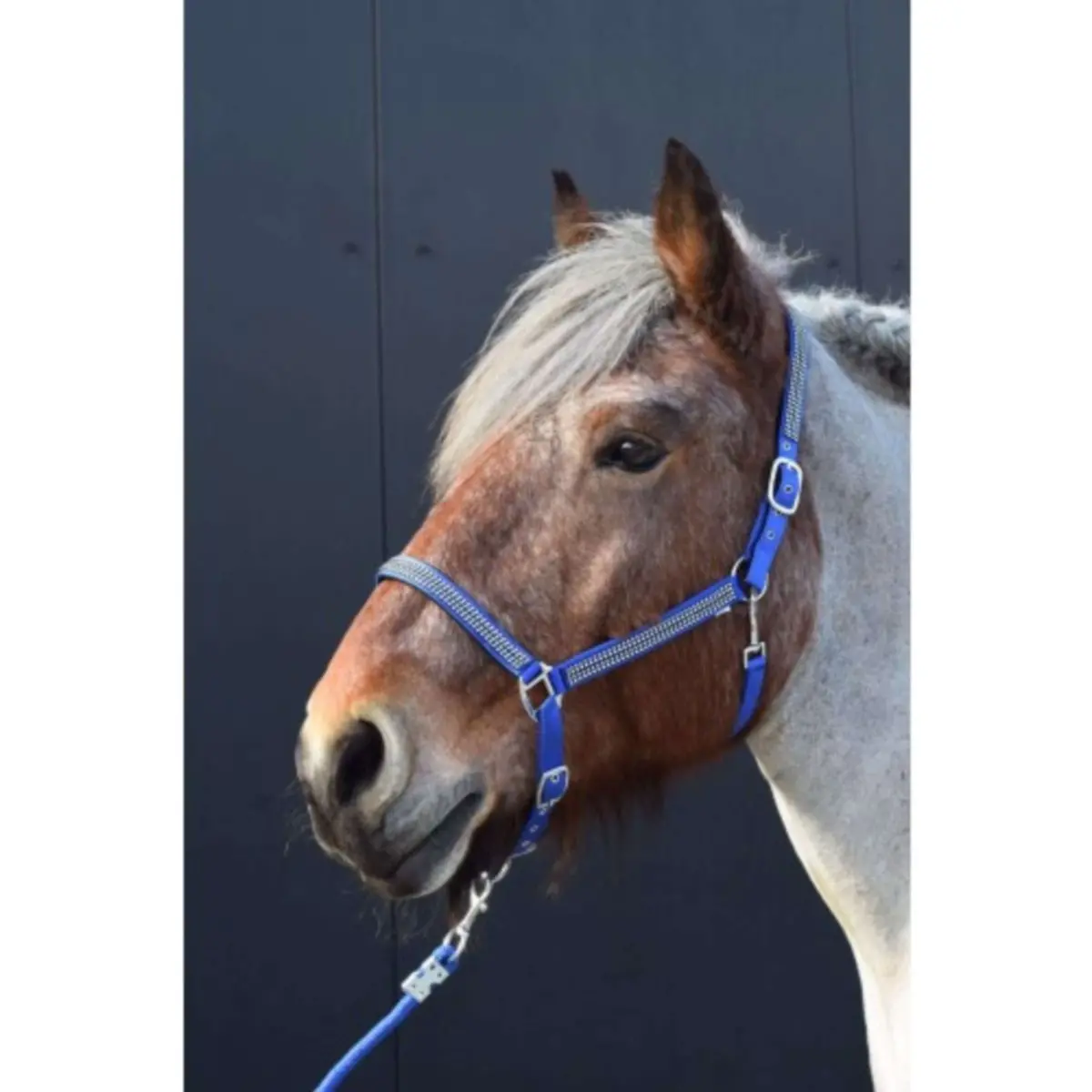 Hb Halster Diamonds Collection Royal Blue 1
