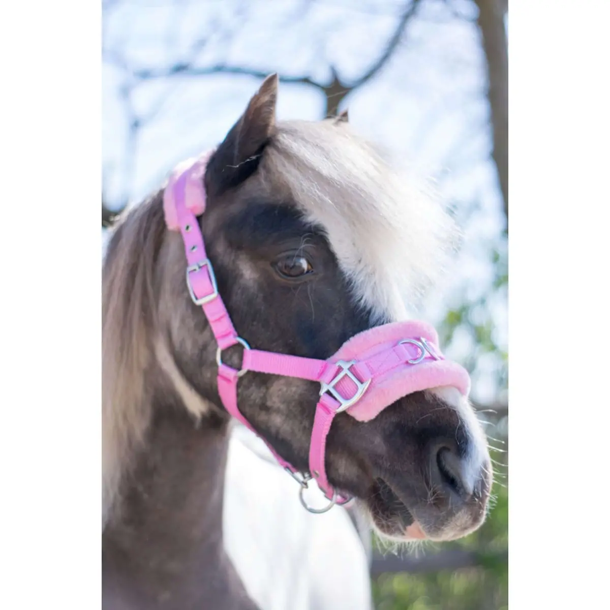 Hb Halster Nylon Kaptoom Roze 1