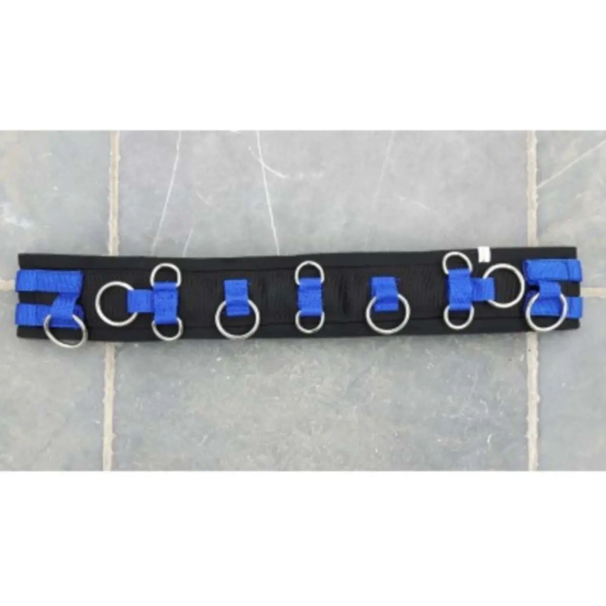 Hb Longeersingel Little Sizes Royal Blue 1