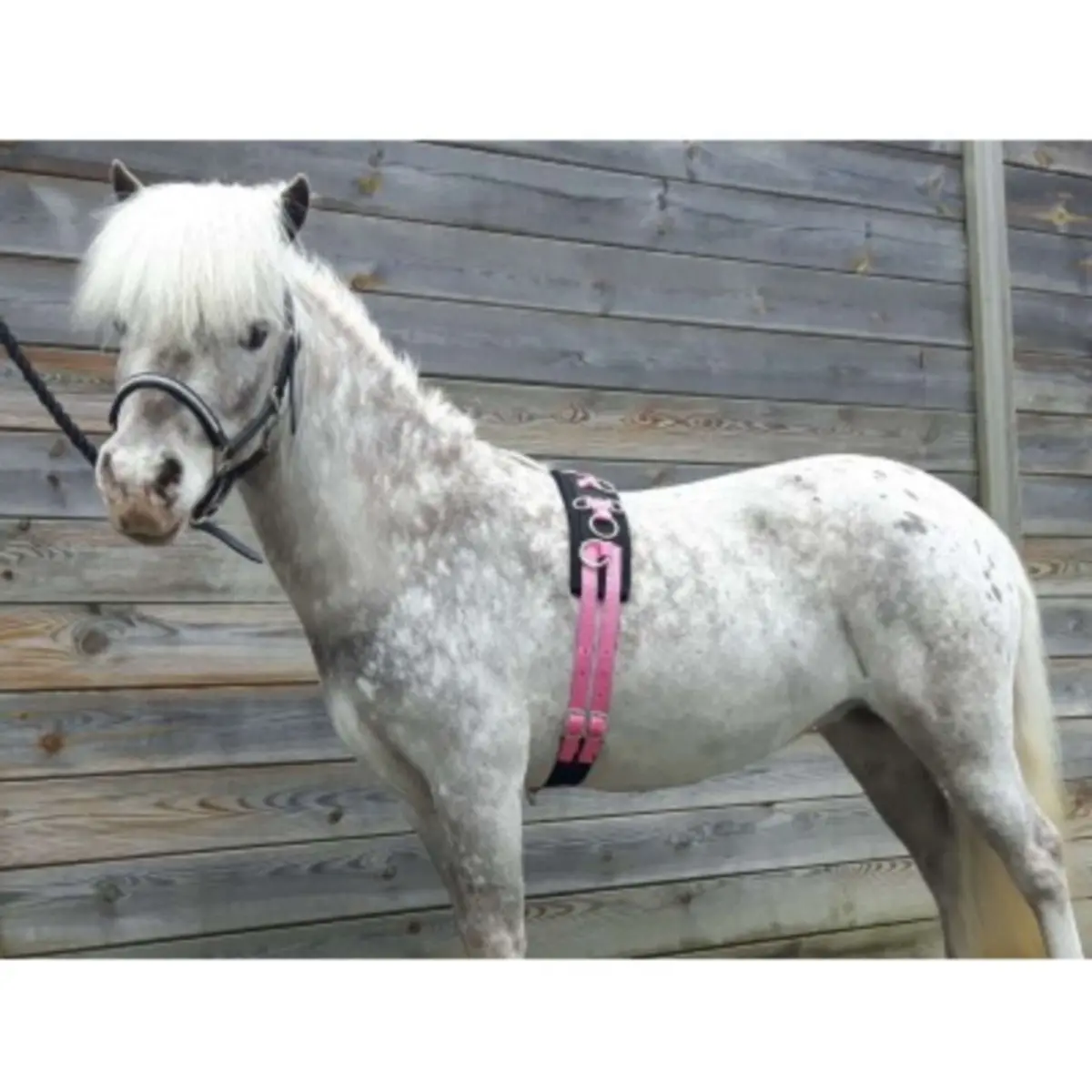 Hb Longeersingel Little Sizes Roze 1