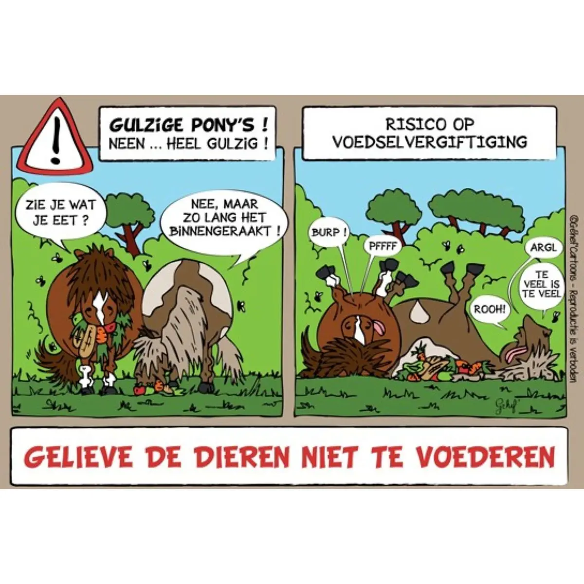 Hb Stalplaat Niet Voeren 1