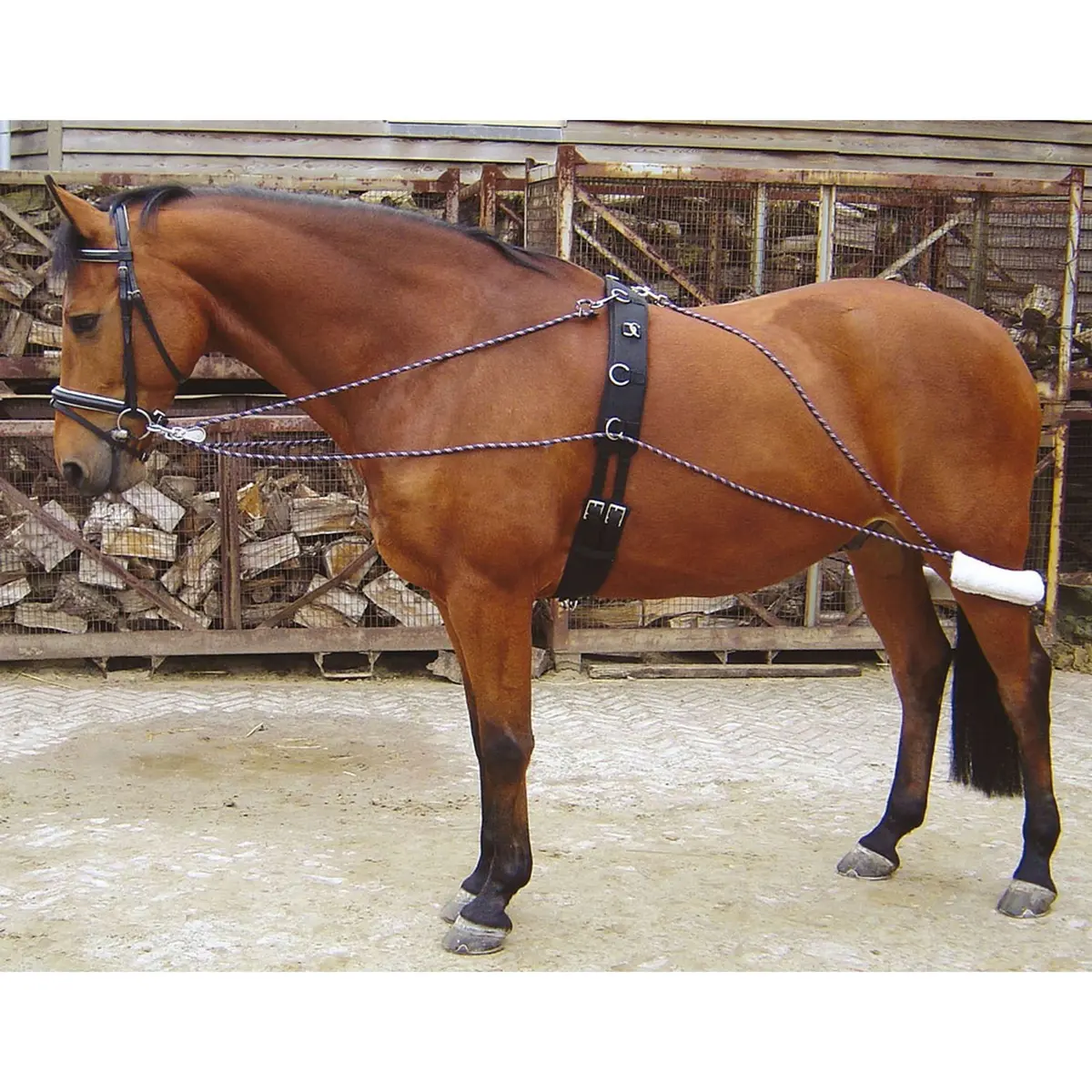 Harry's Horse Longeerhulpteugel 1