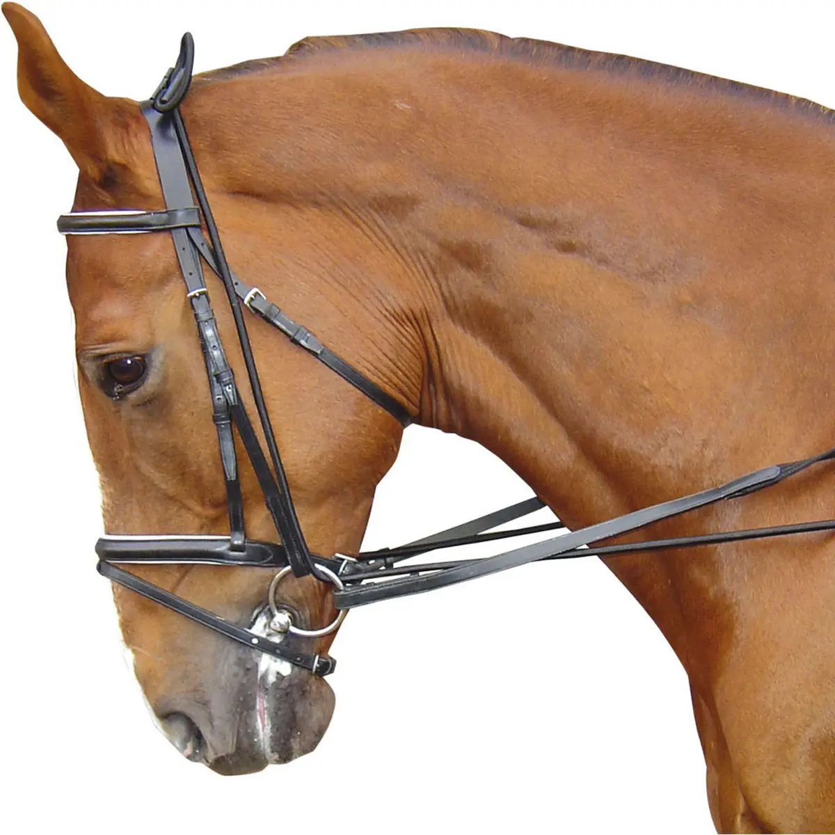 Harry's Horse Halsverlenger Elastisch Zwart 1