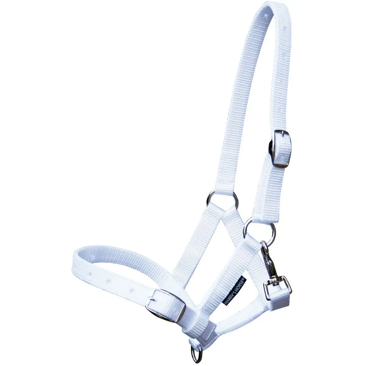 Harry's Horse Veulenhalster Wit 1