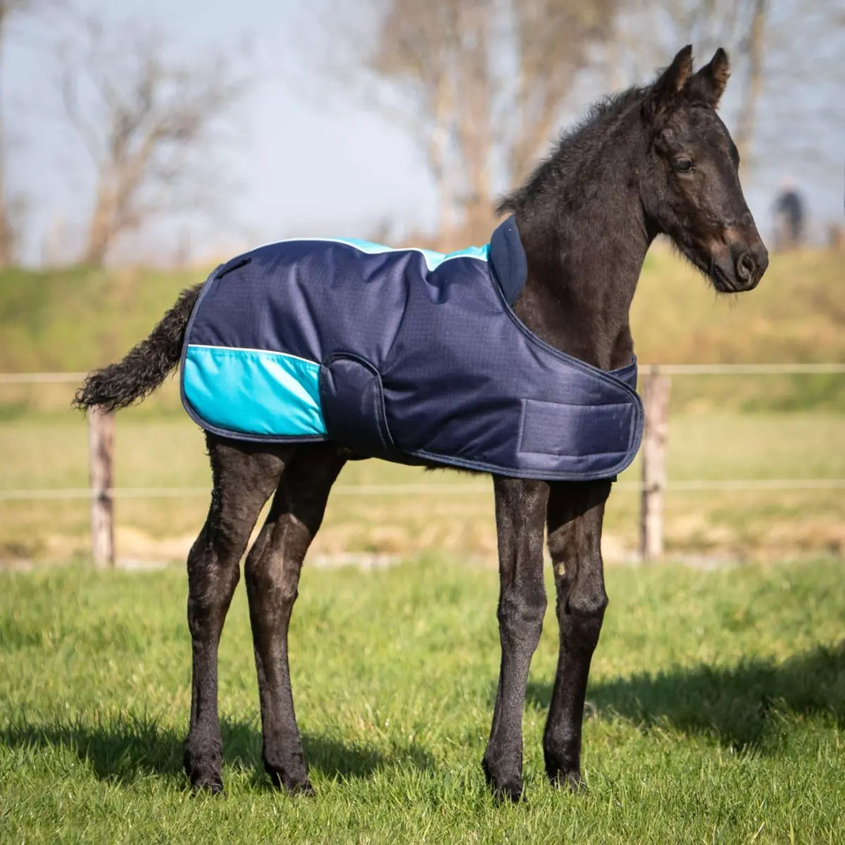Harry's Horse Veulendeken Twotone Navy 1