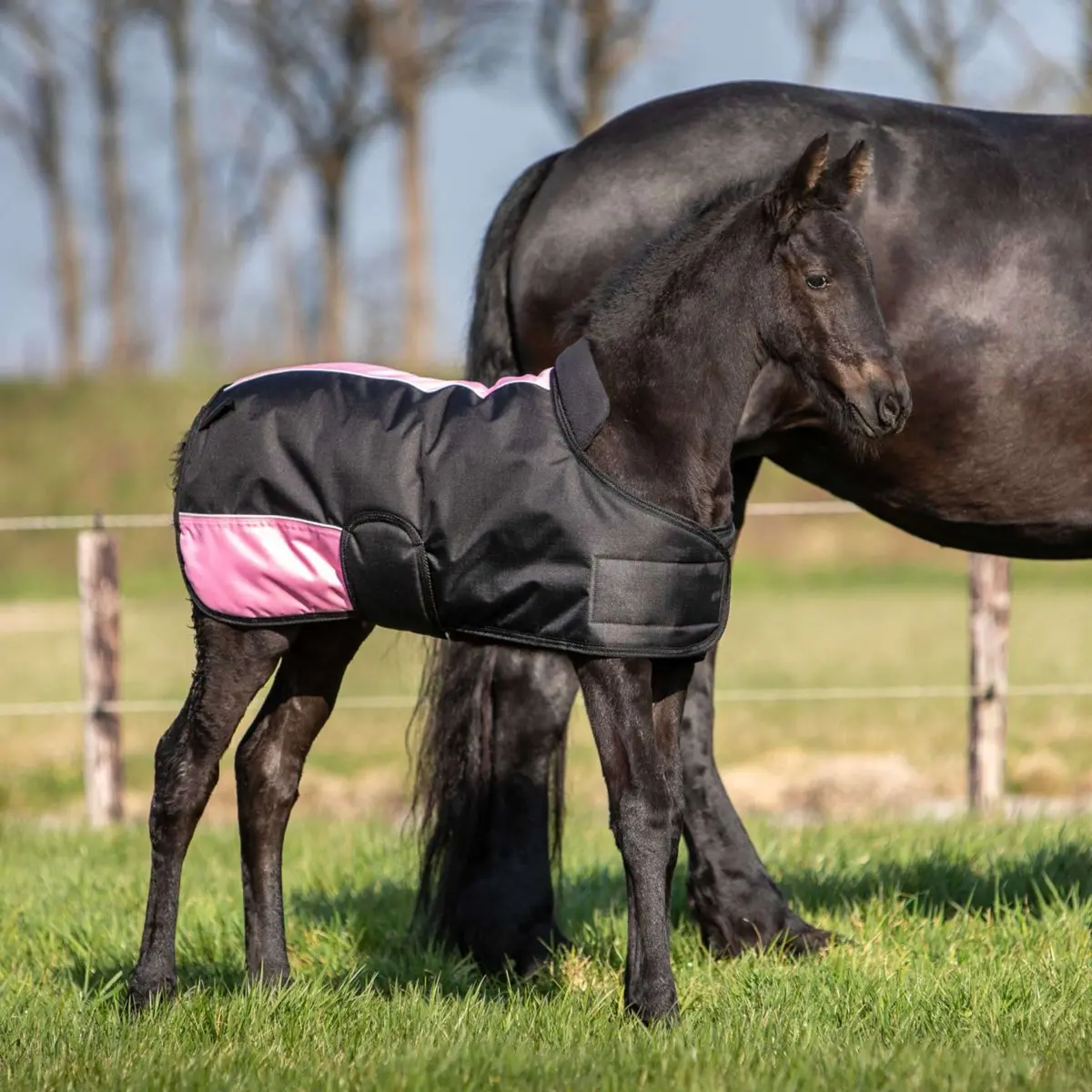 Harry's Horse Veulendeken Twotone Zwart 1