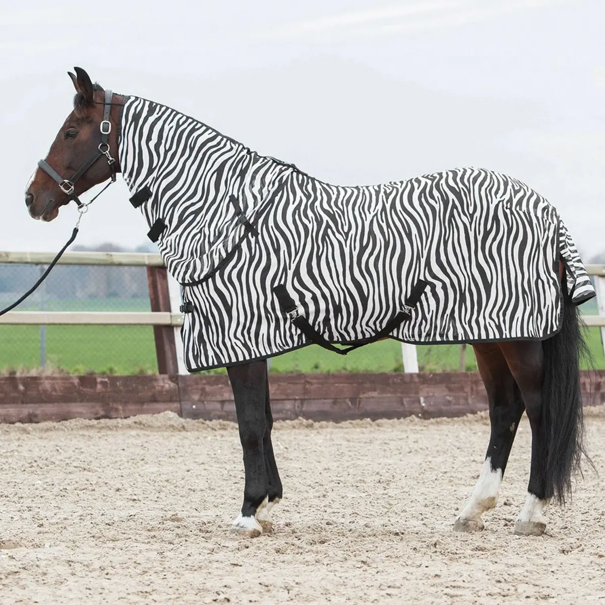 Harry's Horse Vliegendeken Zwart Losse Hals Zebra 1