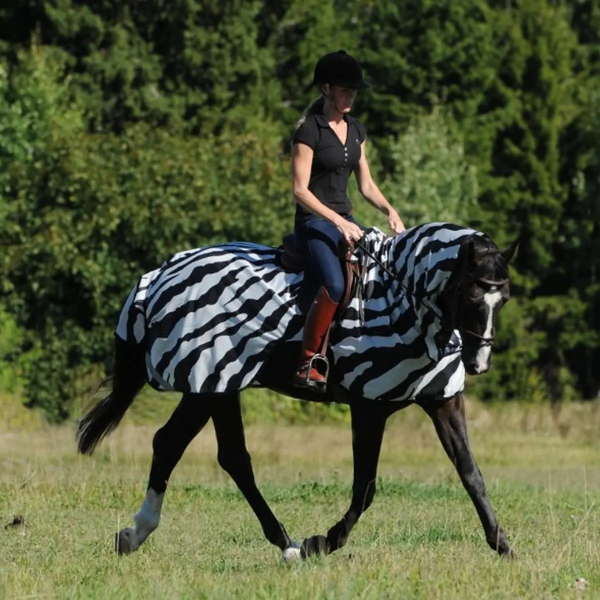 Bucas Vliegendeken Buzz-Off Riding Zebra 1