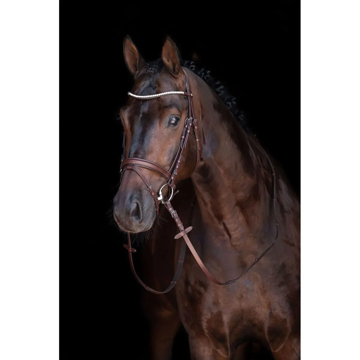 Hkm Trenshoofdstel Mia Bruin 1