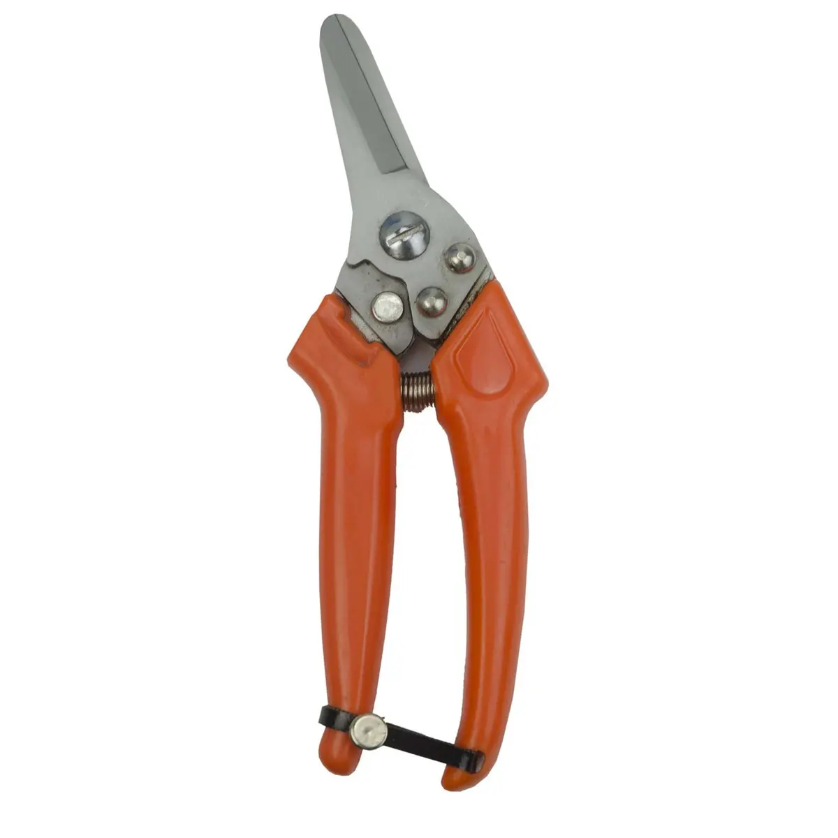 Agradi Claw Clipper Schaap Dutch 1