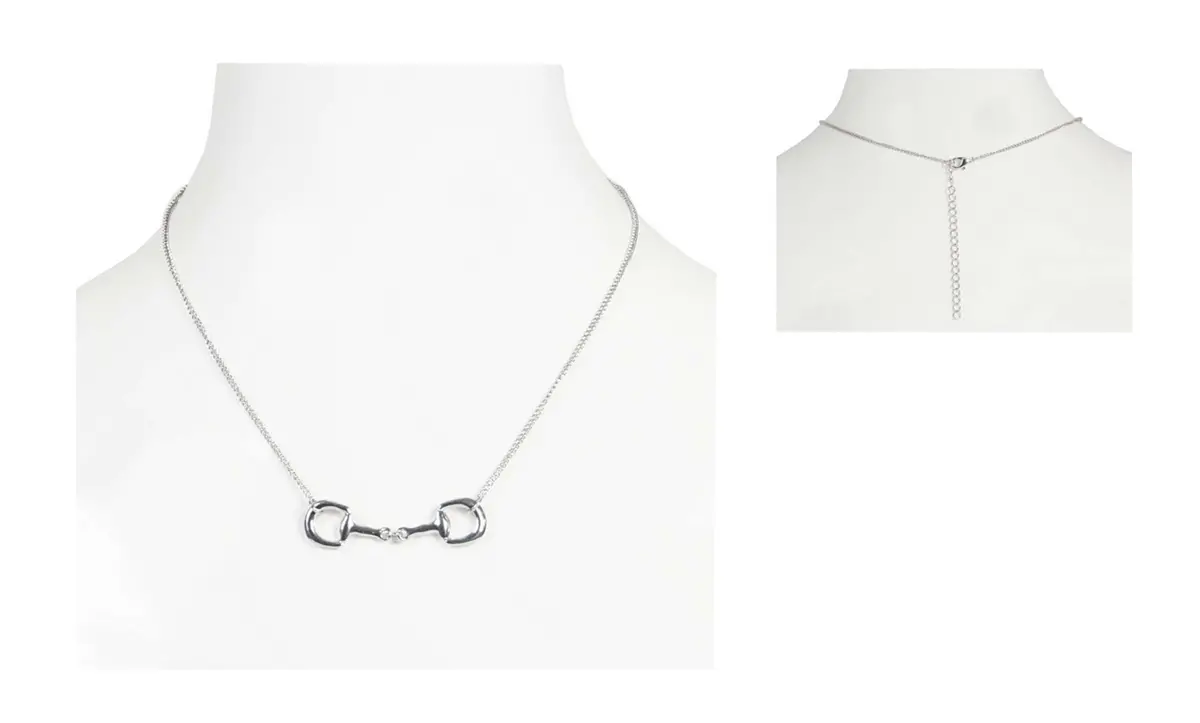 Horka Ketting Met Bit Hanger Zilver 1