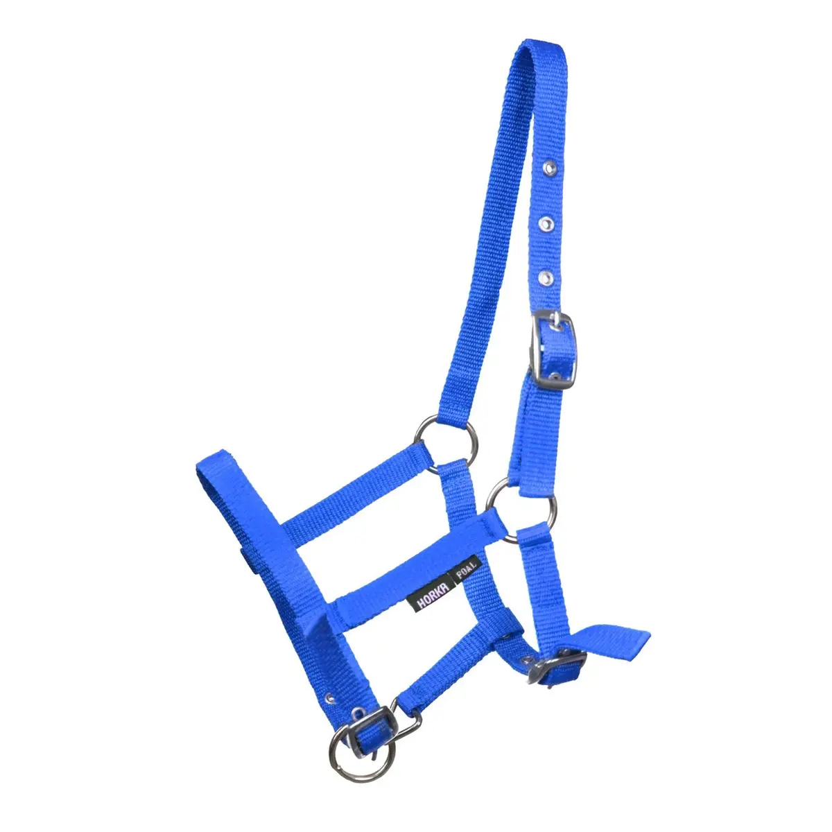 Horka Halster Veulen Kobalt 1