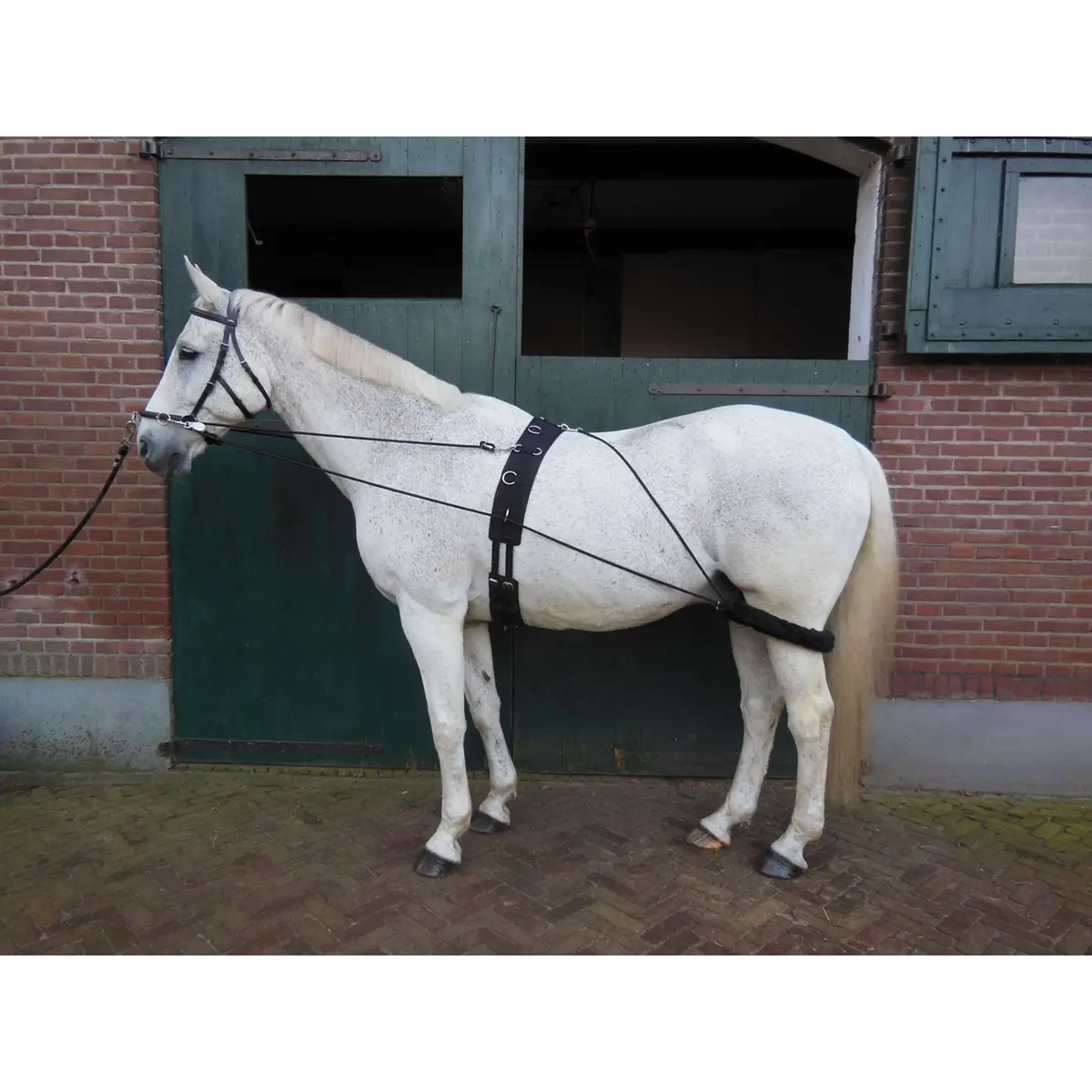 Horka Pessoa Zwart 1