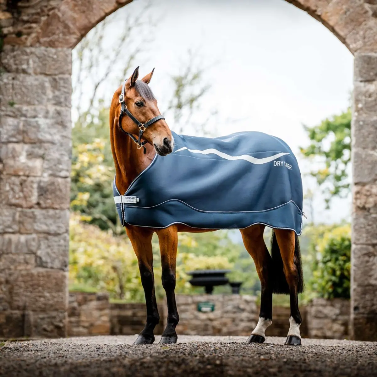 Horseware Dry Liner Navy/Zilver 1