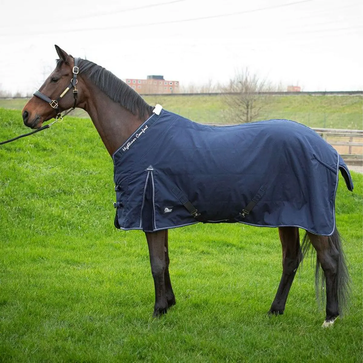 Harry's Horse Staldeken Highliner Boa Navy 1