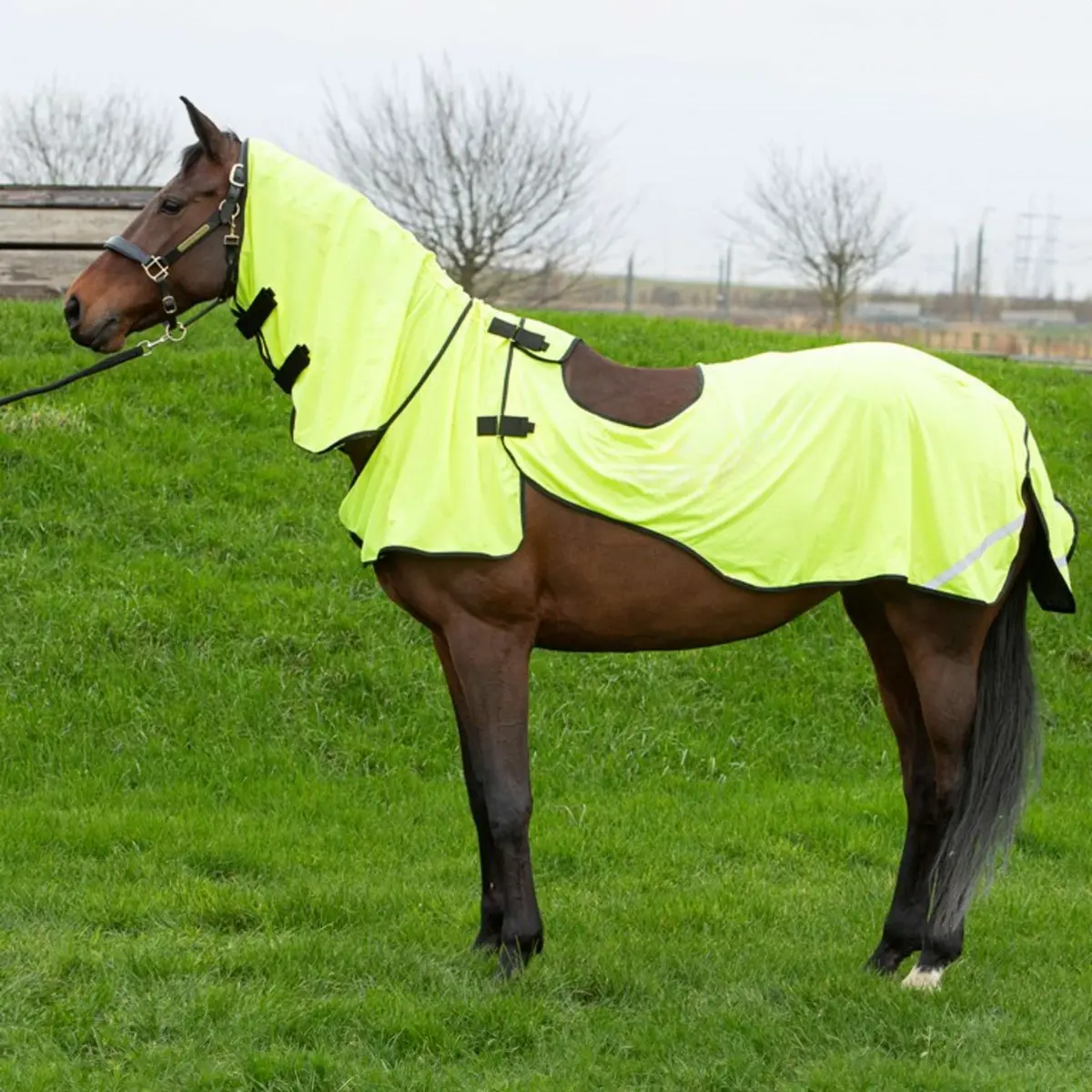 Harry's Horse Vliegen Uitrijdeken Mesh Pro Geel 1