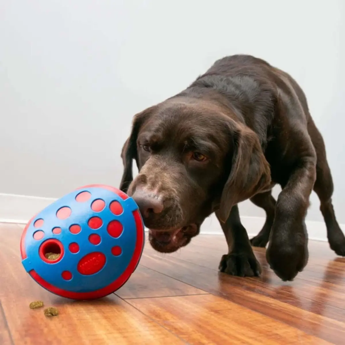Kong Hondenspeelgoed Rewards Wally 1