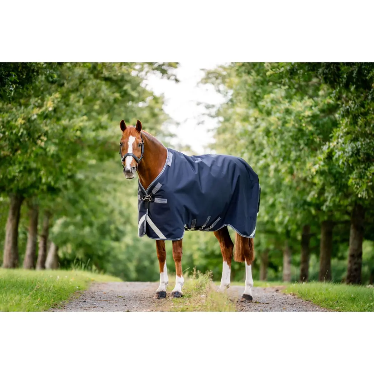 Rambo Turnout 1680D 100G Navy/Thunderstorm Grey/Silver 1