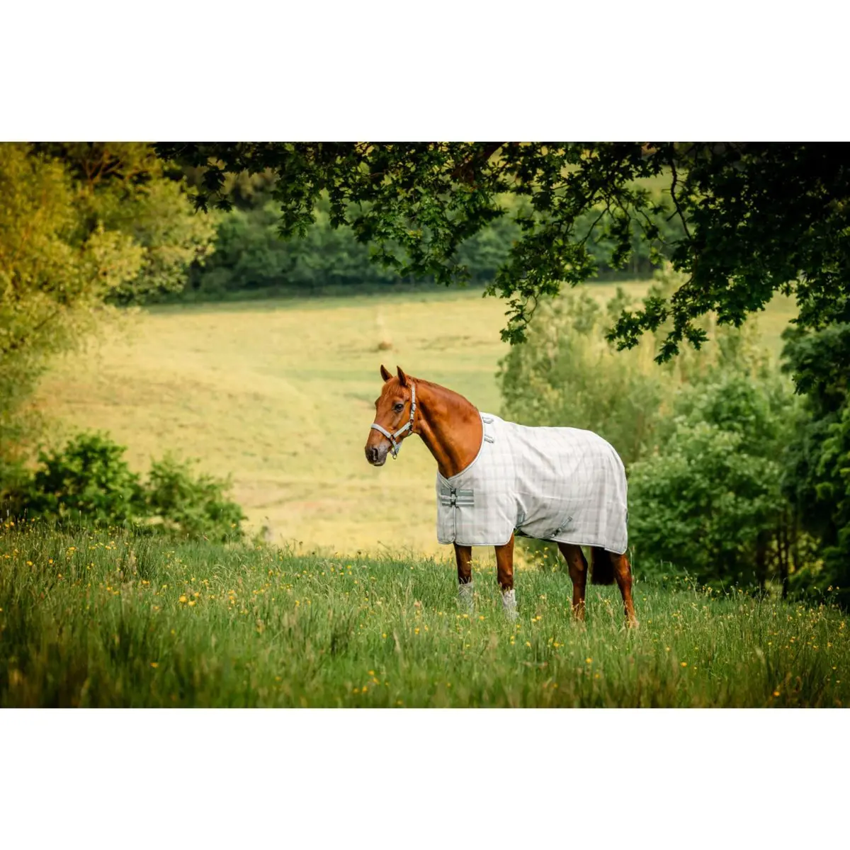 Horseware Vliegendeken Newmarket Witney Charcoal 1