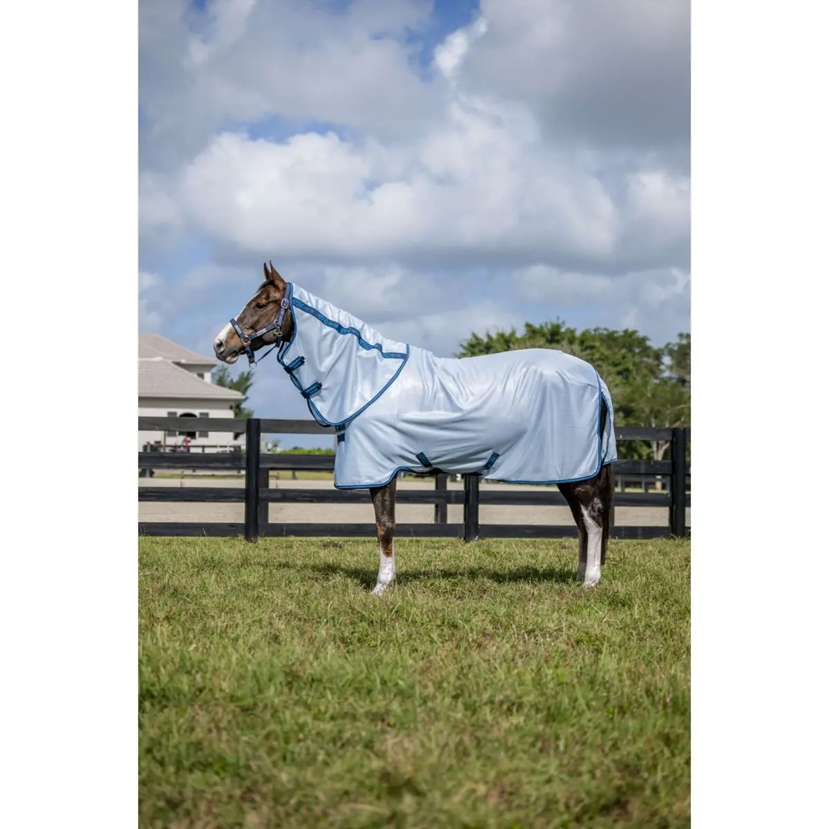 Amigo Bug Rug Plus Azure Blue/Navy/Electric Blue 1