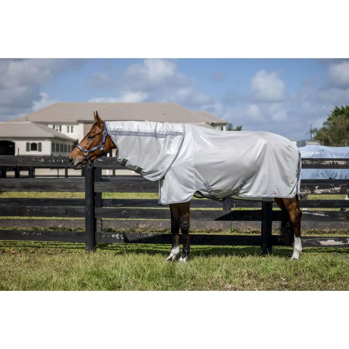 Amigo Bug Rug Xl Plus Silver/Titanium Grey/Silver 1
