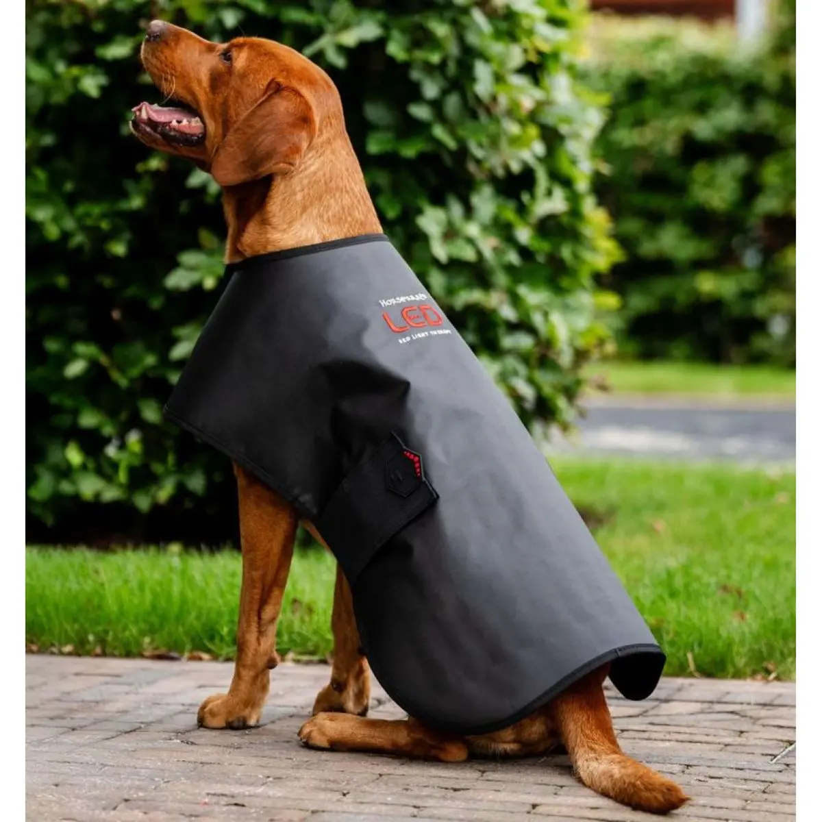 Horseware Led Red Light Therapy Deken Zwart 1
