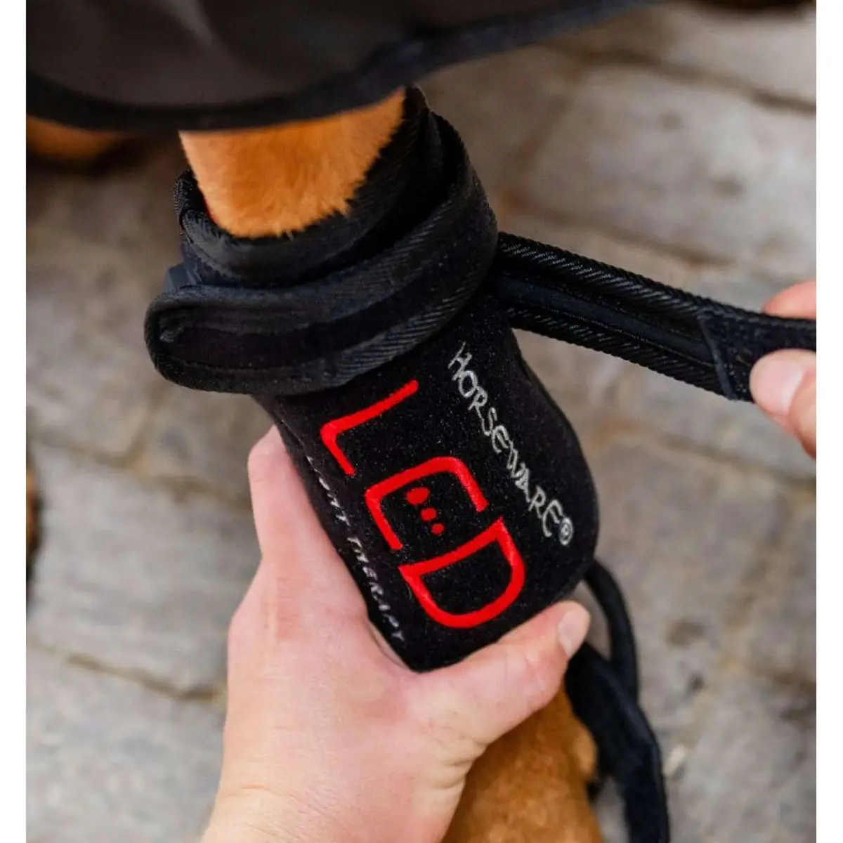 Horseware Led Red Light Therapy Pet Leg Wrap Zwart 1
