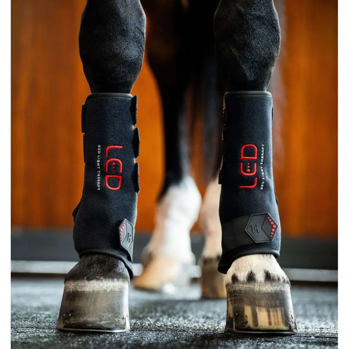 Horseware Led Red Light Therapy Right Leg Wrap Zwart 1