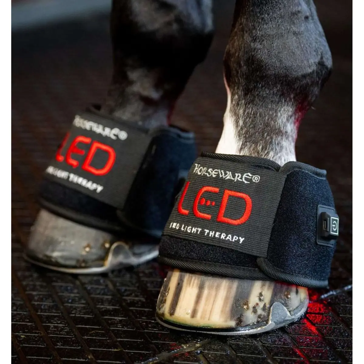 Horseware Led Red Light Therapy Mini Wrap Zwart 1