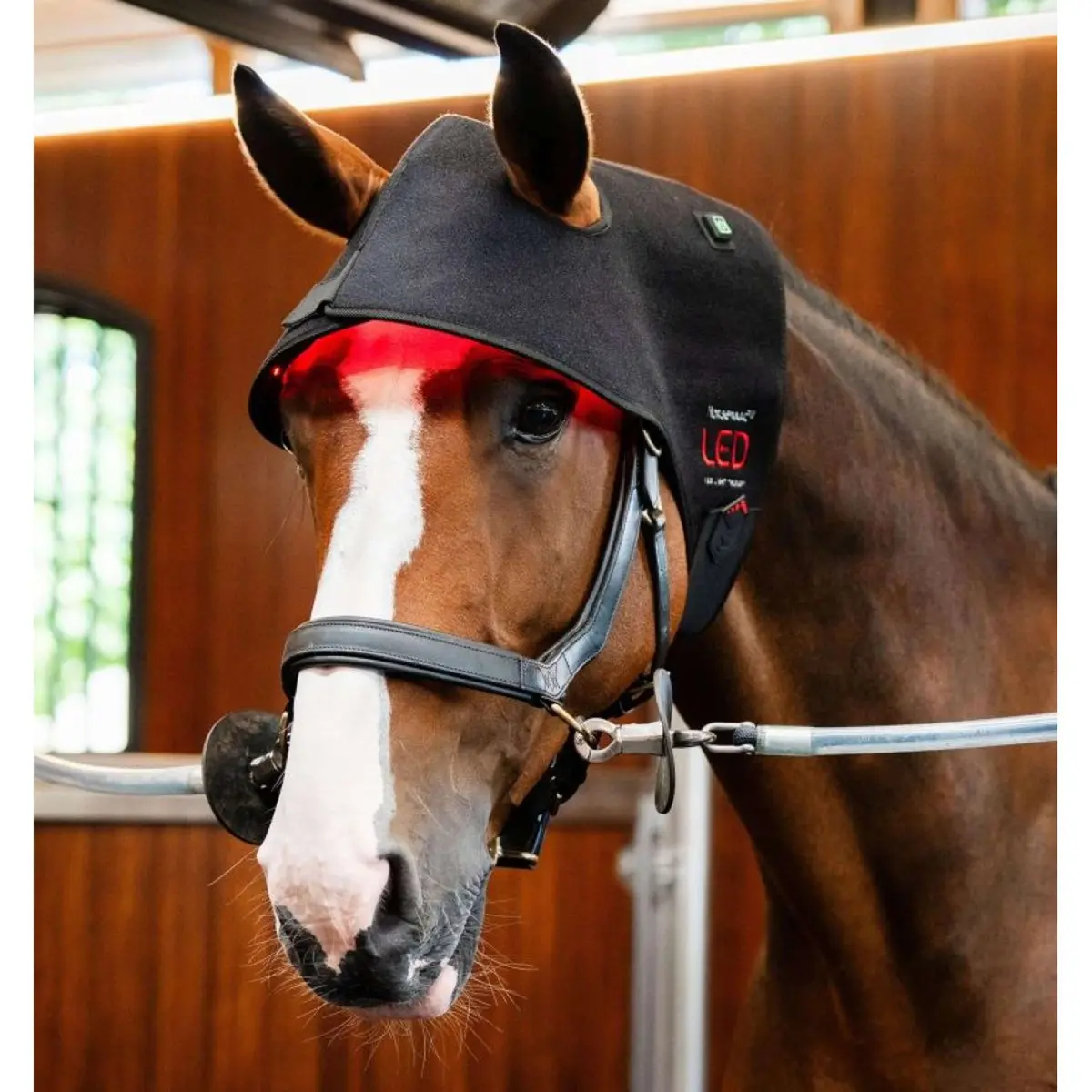 Horseware Led Red Light Therapy Poll Cap Zwart 1